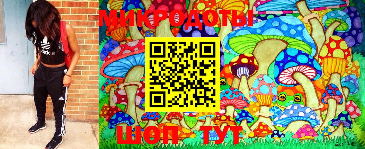 Псилоцибиновые грибы Psilocybine cubensis  Вход с VPN  Фурманов 