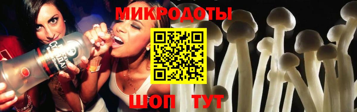 Галлюциногенные грибы Cubensis Фурманов